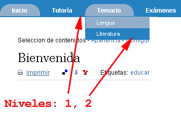 menú de navegación de dos niveles