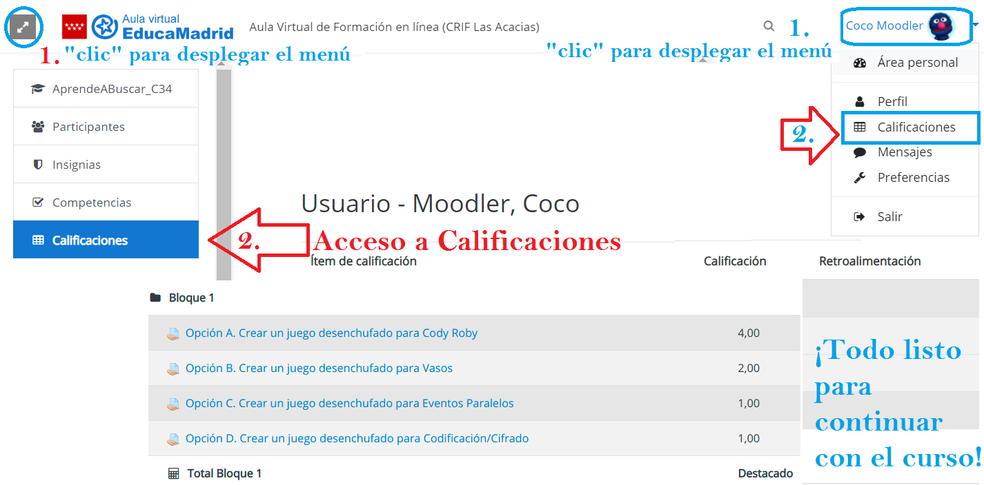 Acceso a las calificaciones del curso