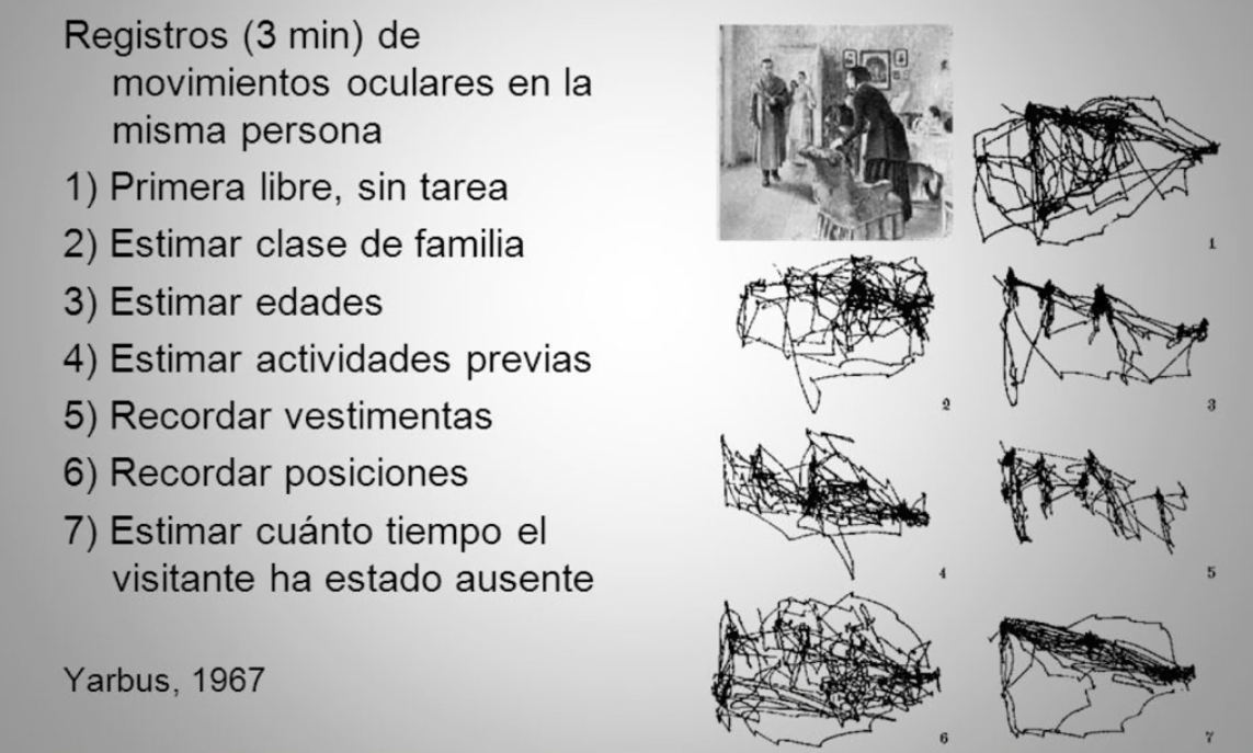 Imagen con el registro de movimientos oculares en la misma persona durante 3 minutos