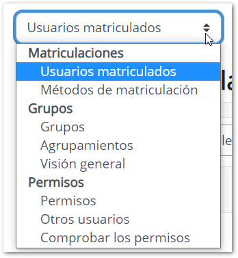 Muestra las opciones del menú de administración de la ventana de participantes 