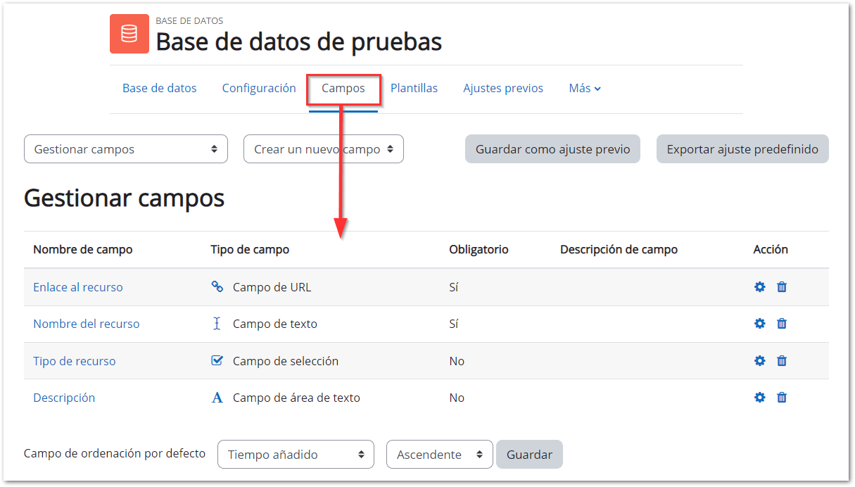 configuración base de datos campos