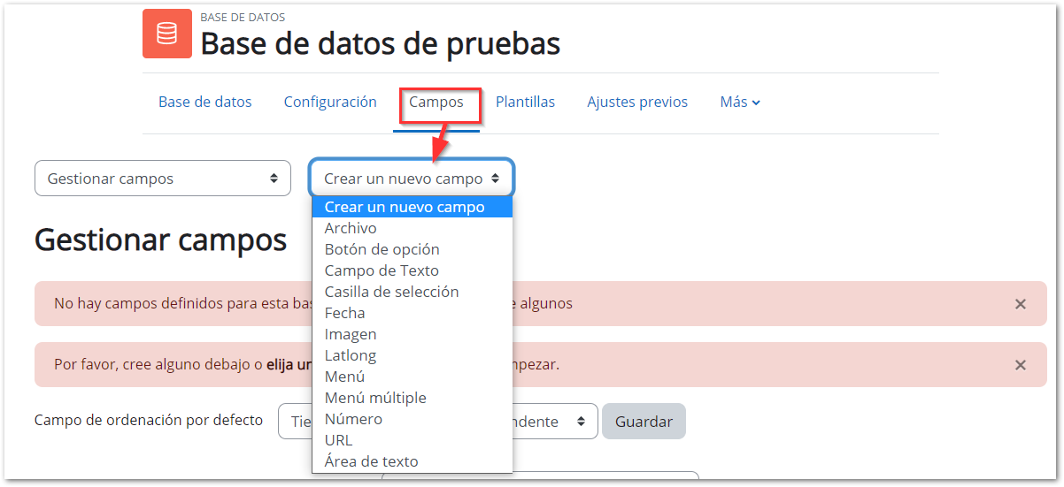 configuración base datos campos