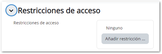 configuración tarea restricciones