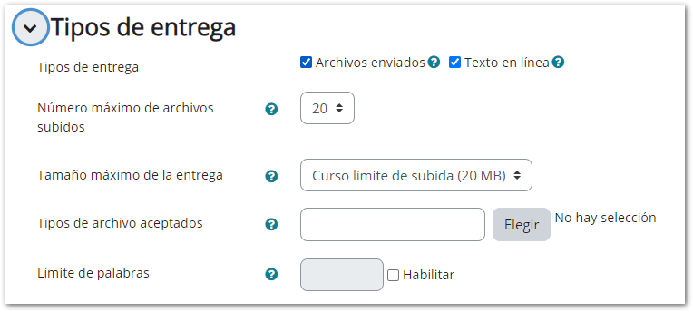 configuración tarea tipos entrega