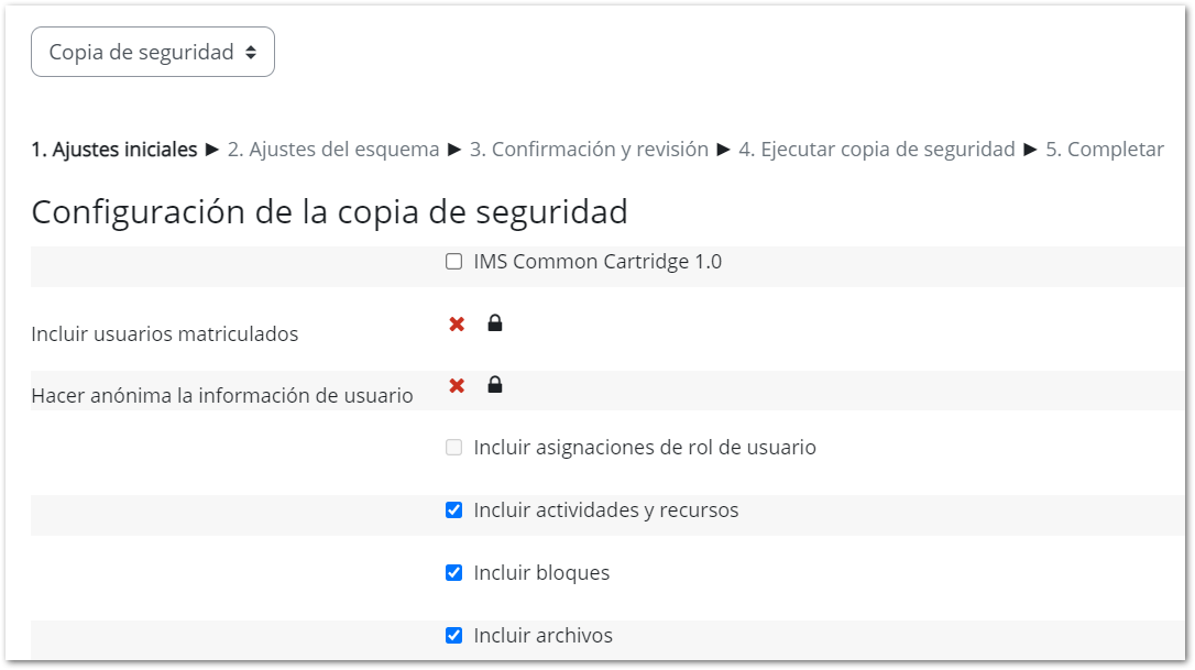 Ajustes iniciales de la copia de seguridad