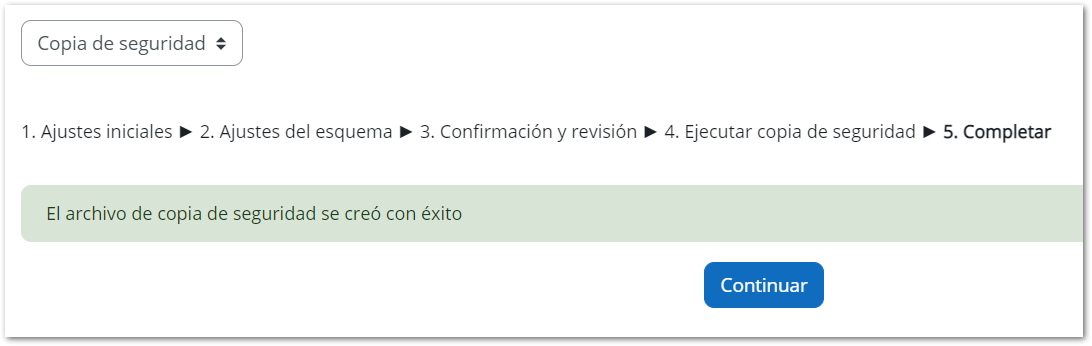 Copia de seguridad completada