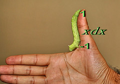 Oruga