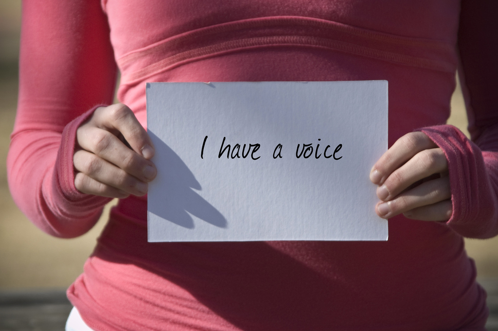 voice