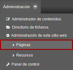 Páginas del sitio web